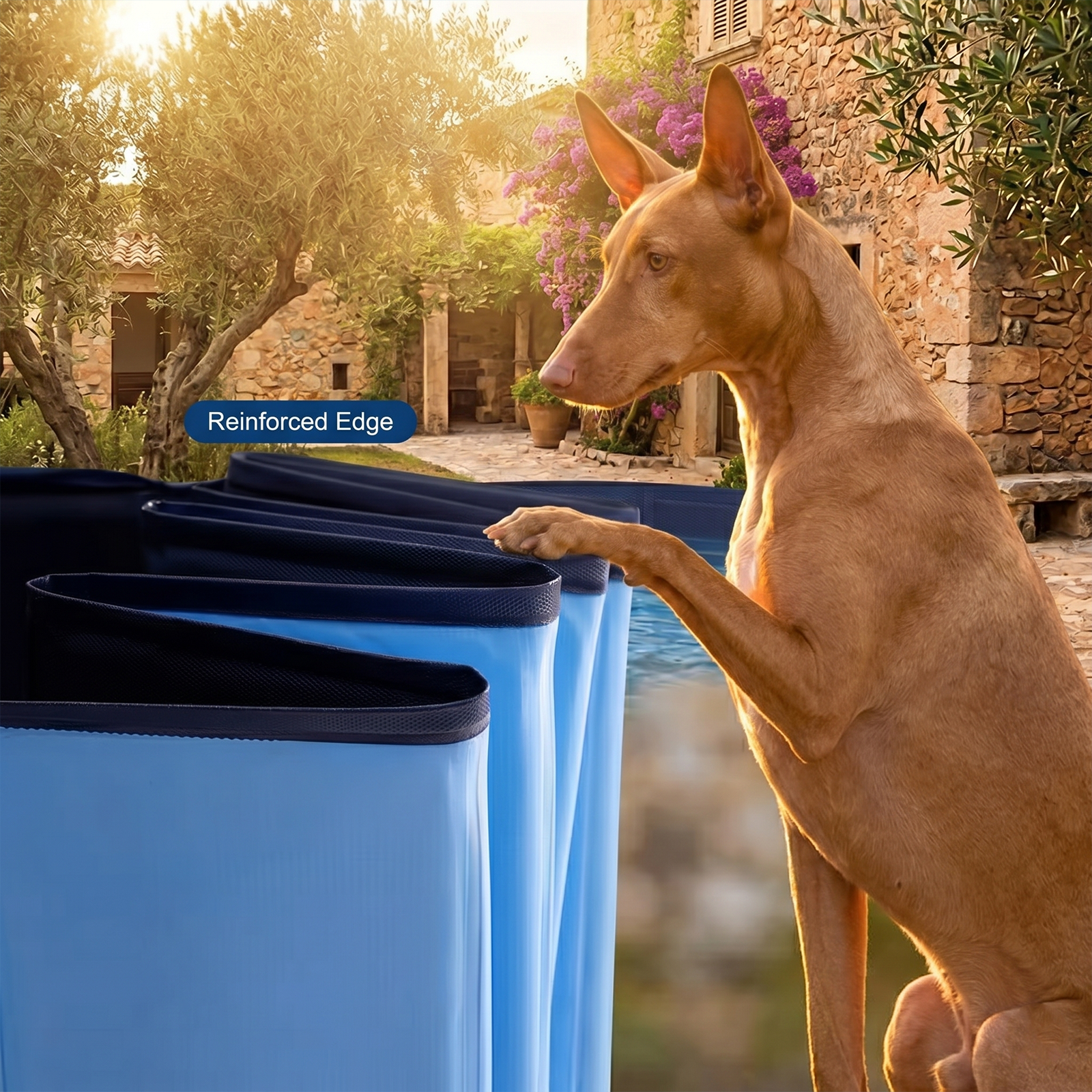 Foldable Dog Pool – size comparison chart