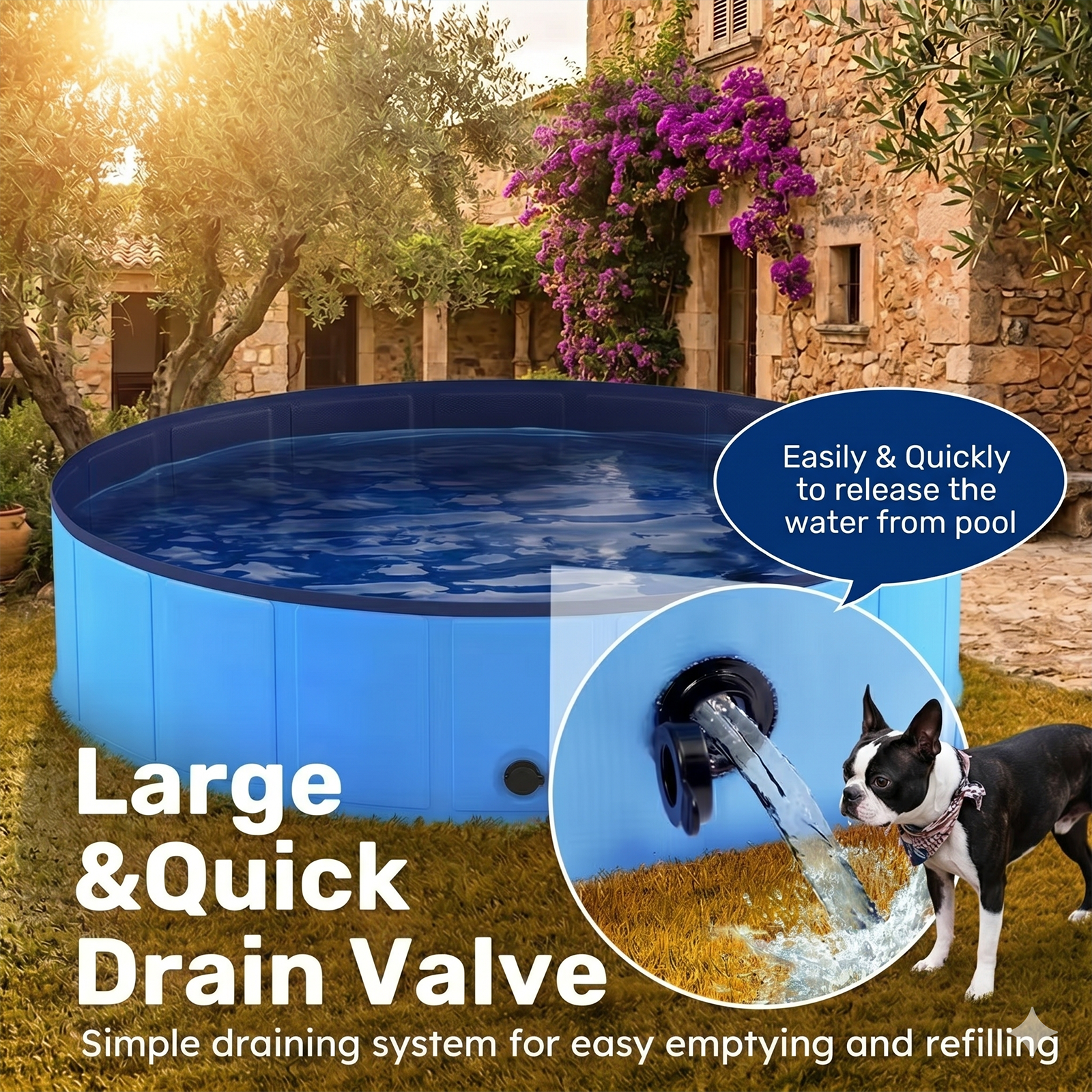 Foldable Dog Pool – dog cooling off in pool